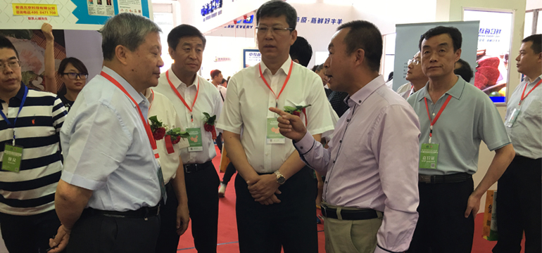 首页| BG大游集团中国官方网站